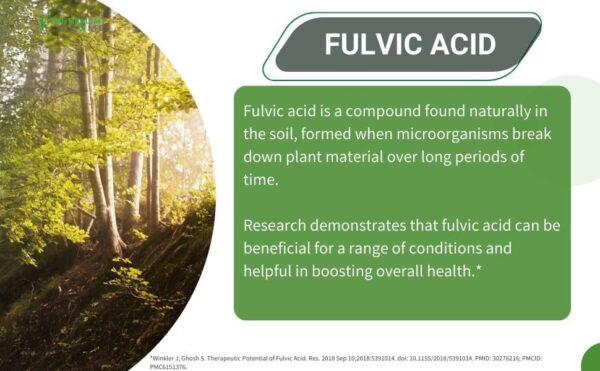 Liquid Fulvic Acid + Humic + Trace Minerals | Keto Supplement | pH Balance - Image 4