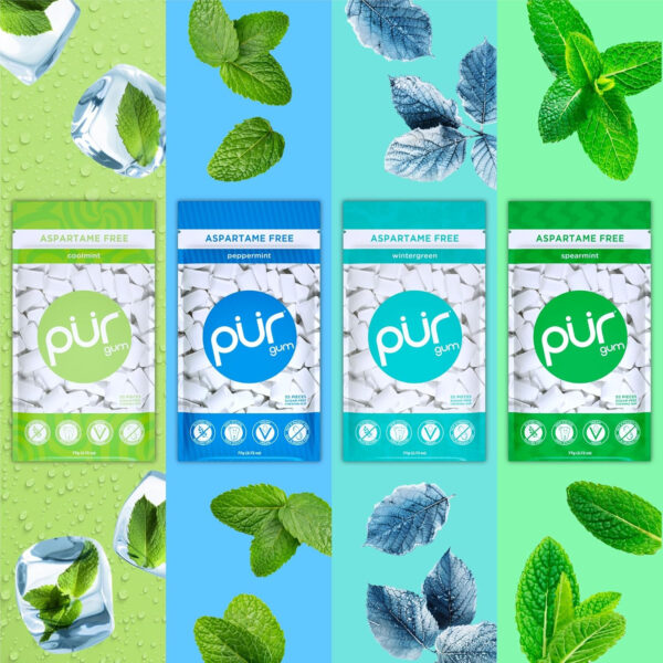 Xylitol Gum | PUR Aspartame Free Natural Spearmint, 55 Pieces - Image 16