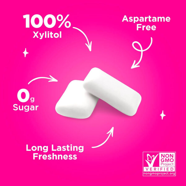 Xylitol Gum | PUR Aspartame Free Natural Spearmint, 55 Pieces - Image 18