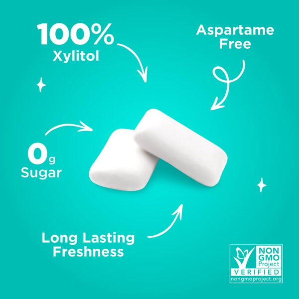 Xylitol Gum | PUR Aspartame Free Natural Spearmint, 55 Pieces - Image 52