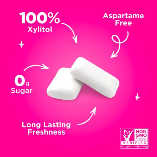 Xylitol Gum | PUR Aspartame Free Natural Spearmint, 55 Pieces - Image 63